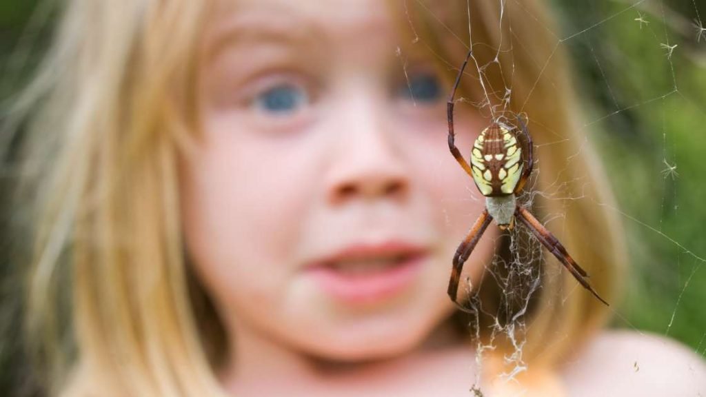 Hypnosis for Fear of Spiders or Insects